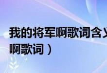 我的将军啊歌词含义和背后的故事（我的将军啊歌词）