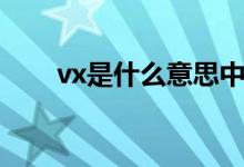 vx是什么意思中文（vx是什么意思）