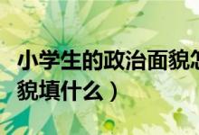 小学生的政治面貌怎么写啊（小学生的政治面貌填什么）