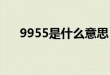 9955是什么意思（995表示什么意思）