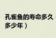 孔雀鱼的寿命多久（孔雀鱼的寿命最长的能活多少年）