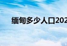 缅甸多少人口2021年（缅甸多少人口）