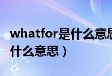 whatfor是什么意思翻译成中文（whatfor是什么意思）