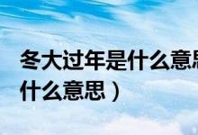 冬大过年是什么意思,打一生肖?（冬大过年是什么意思）