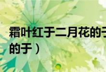 霜叶红于二月花的于的意思（霜叶红于二月花的于）