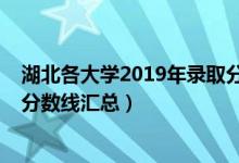 湖北各大学2019年录取分数线（2019湖北大学各专业录取分数线汇总）