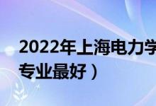 2022年上海电力学院专业排名及介绍（哪些专业最好）