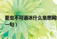 夏虫不可语冰什么意思网络用语（夏虫不可语冰什么意思下一句）