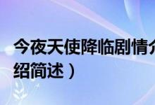 今夜天使降临剧情介绍（今夜天使降临剧情介绍简述）