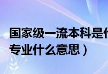 国家级一流本科是什么意思（国家级一流本科专业什么意思）