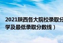 2021陕西各大院校录取分数线（2021陕西最难考的10所大学及最低录取分数线）