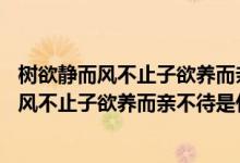 树欲静而风不止子欲养而亲不待是什么意思20字（树欲静而风不止子欲养而亲不待是什么意思）