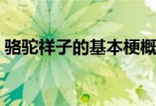 骆驼祥子的基本梗概（骆驼祥子的基本线索）