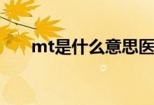 mt是什么意思医学（mt是什么意思）