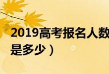 2019高考报名人数达1031万（各省高考人数是多少）