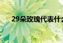 29朵玫瑰代表什么（适合什么场合送）