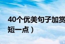 40个优美句子加赏析（40个优美句子加赏析短一点）