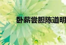 卧薪尝胆陈道明电视剧（卧薪尝胆）