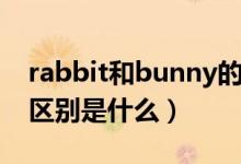 rabbit和bunny的区别（rabbit和bunny的区别是什么）