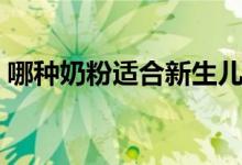 哪种奶粉适合新生儿（新生儿喝哪种奶粉好）