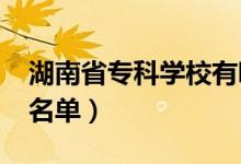 湖南省专科学校有哪些（2022最新高职院校名单）