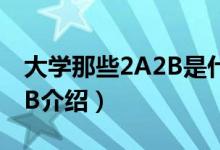 大学那些2A2B是什么意思啊（关于大学2A2B介绍）