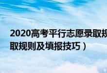 2020高考平行志愿录取规则及填报技巧（2022平行志愿录取规则及填报技巧）