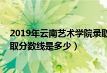 2019年云南艺术学院录取分数线（2019年云南艺术学院录取分数线是多少）