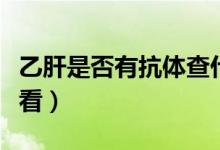 乙肝是否有抗体查什么（乙肝是否有抗体怎么看）