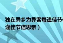 独在异乡为异客每逢佳节倍思亲的意思（独在异乡为异客每逢佳节倍思亲）