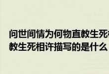 问世间情为何物直教生死相许描写的是（问世间情为何物直教生死相许描写的是什么）