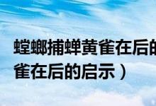 螳螂捕蝉黄雀在后的启示是什么（螳螂捕蝉黄雀在后的启示）