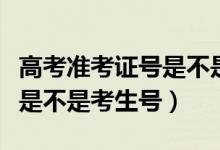 高考准考证号是不是身份证号（高考准考证号是不是考生号）