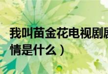 我叫苗金花电视剧剧情（我叫苗金花电视剧剧情是什么）