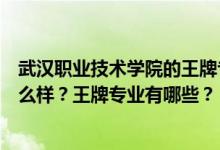 武汉职业技术学院的王牌专业有哪些（武汉职业技术学院怎么样？王牌专业有哪些？）