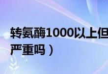 转氨酶1000以上但无症状（转氨酶1000以上严重吗）