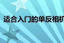 适合入门的单反相机（6款入门级单反推荐）