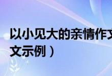 以小见大的亲情作文（以小见大的亲情作文范文示例）