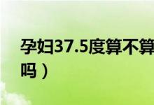 孕妇37.5度算不算发烧（孕妇37.5度算发烧吗）