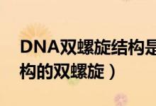 DNA双螺旋结构是什么（dna分子是什么结构的双螺旋）