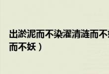 出淤泥而不染濯清涟而不妖什么意思（出淤泥而不染濯清涟而不妖）