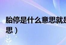 胎停是什么意思就是流产了吗（胎停是什么意思）