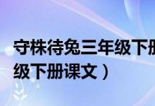 守株待兔三年级下册课文原文（守株待兔三年级下册课文）