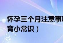 怀孕三个月注意事项（孕妈妈要知道的5个孕育小常识）