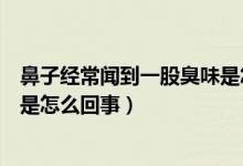 鼻子经常闻到一股臭味是怎么回事（鼻子总是闻到一股臭味是怎么回事）