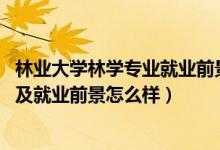 林业大学林学专业就业前景怎么样（2022林学专业就业方向及就业前景怎么样）