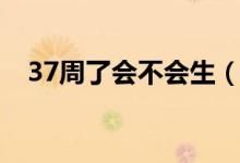 37周了会不会生（37周是不是随时会生）