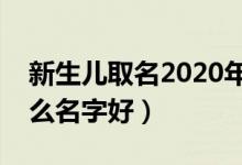 新生儿取名2020年好名字大全（新生儿叫什么名字好）