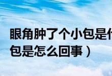 眼角肿了个小包是什么引起的（眼角肿了个小包是怎么回事）