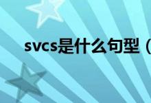 svcs是什么句型（svc句型是什么意思）